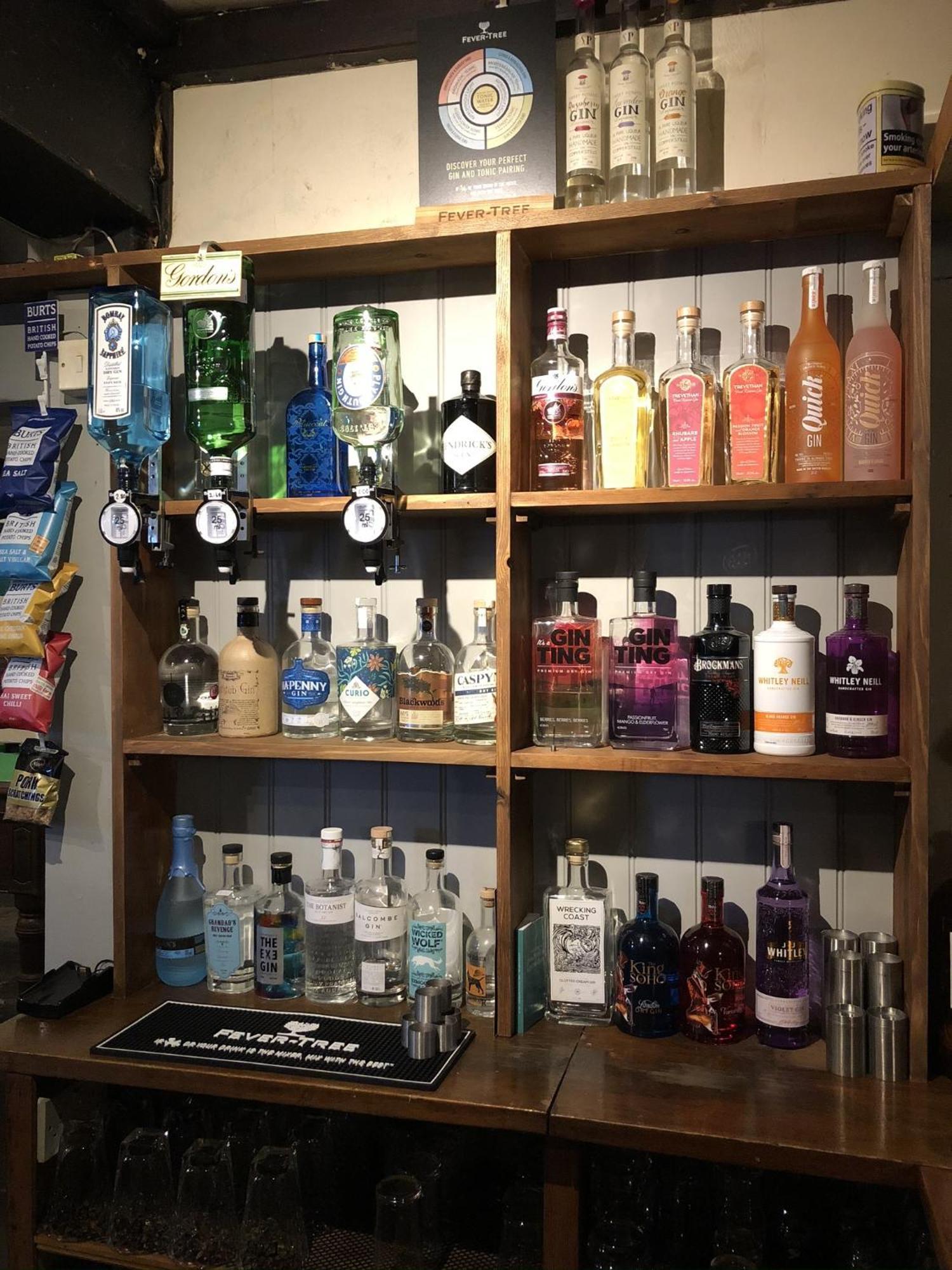 Blue Lion Inn Lewdown Εξωτερικό φωτογραφία